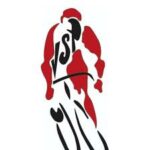 Logo du groupe V.S.Plabennec